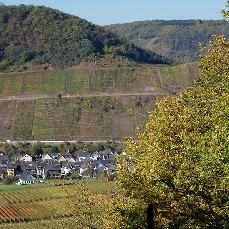 Ferienhaus Mosel Bub Bruttig-Fankel Bagian luar foto