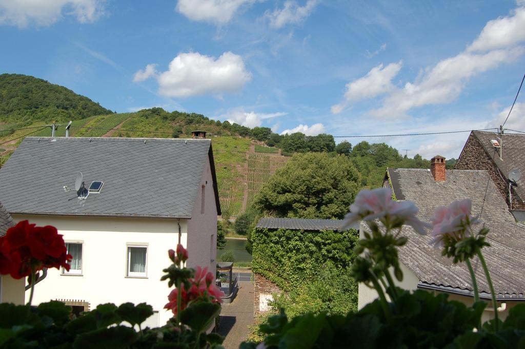 Ferienhaus Mosel Bub Bruttig-Fankel Ruang foto