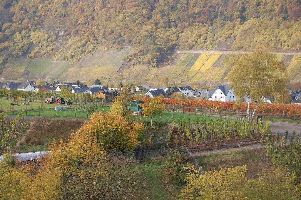 Ferienhaus Mosel Bub Bruttig-Fankel Ruang foto